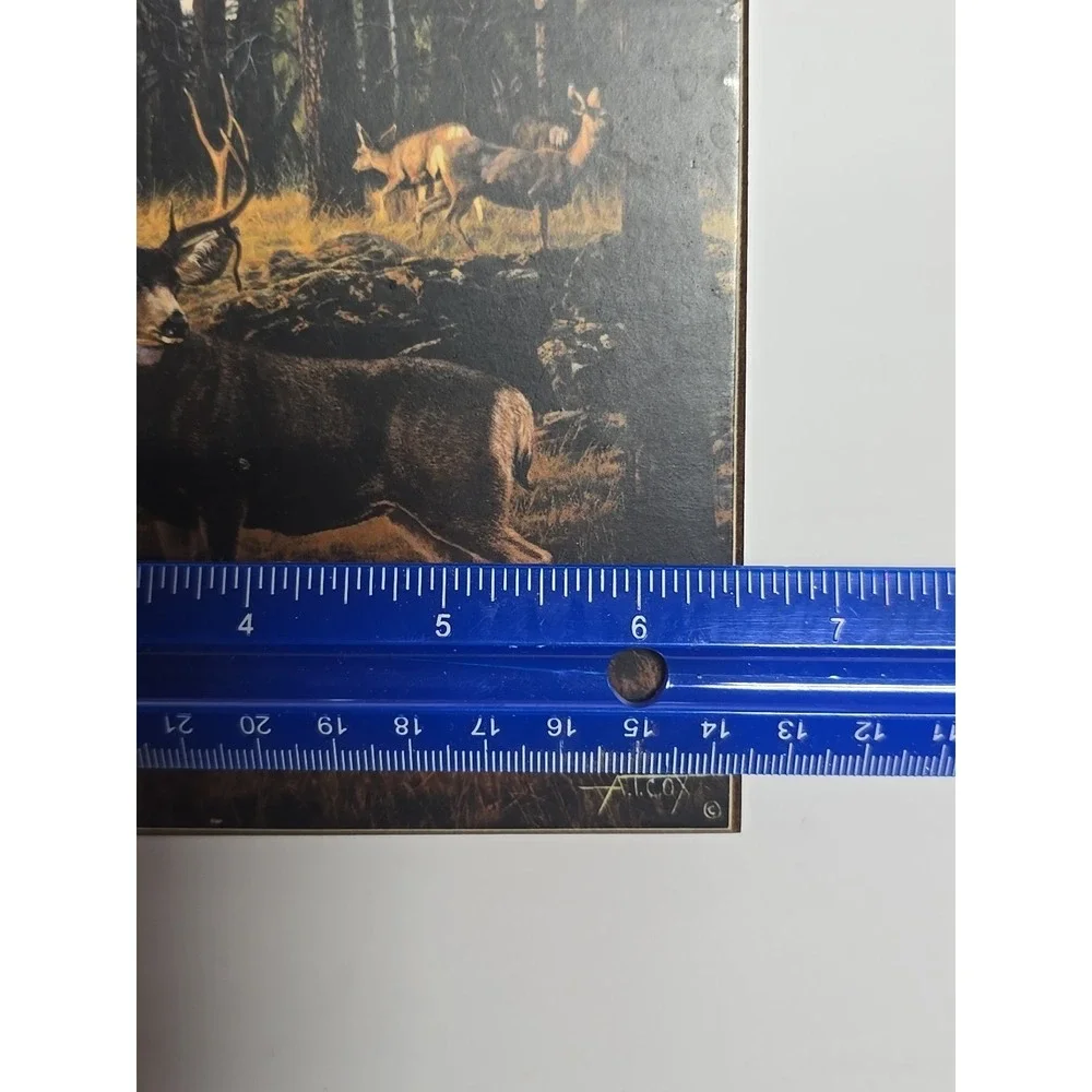 Vtg Deer Picture‎ Cedar Jewelry Box Mule Deer Picture Trinket A.T. Cox Hunter